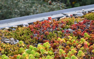 the cost of Goddards Corner green roof installation
