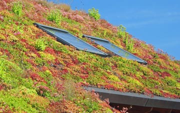 Goddards Corner living roof systems