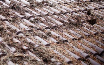 Goddards Corner roof cleaning companies