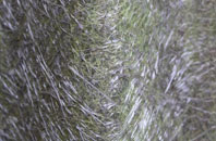 Goddards Corner fibreglass roof work